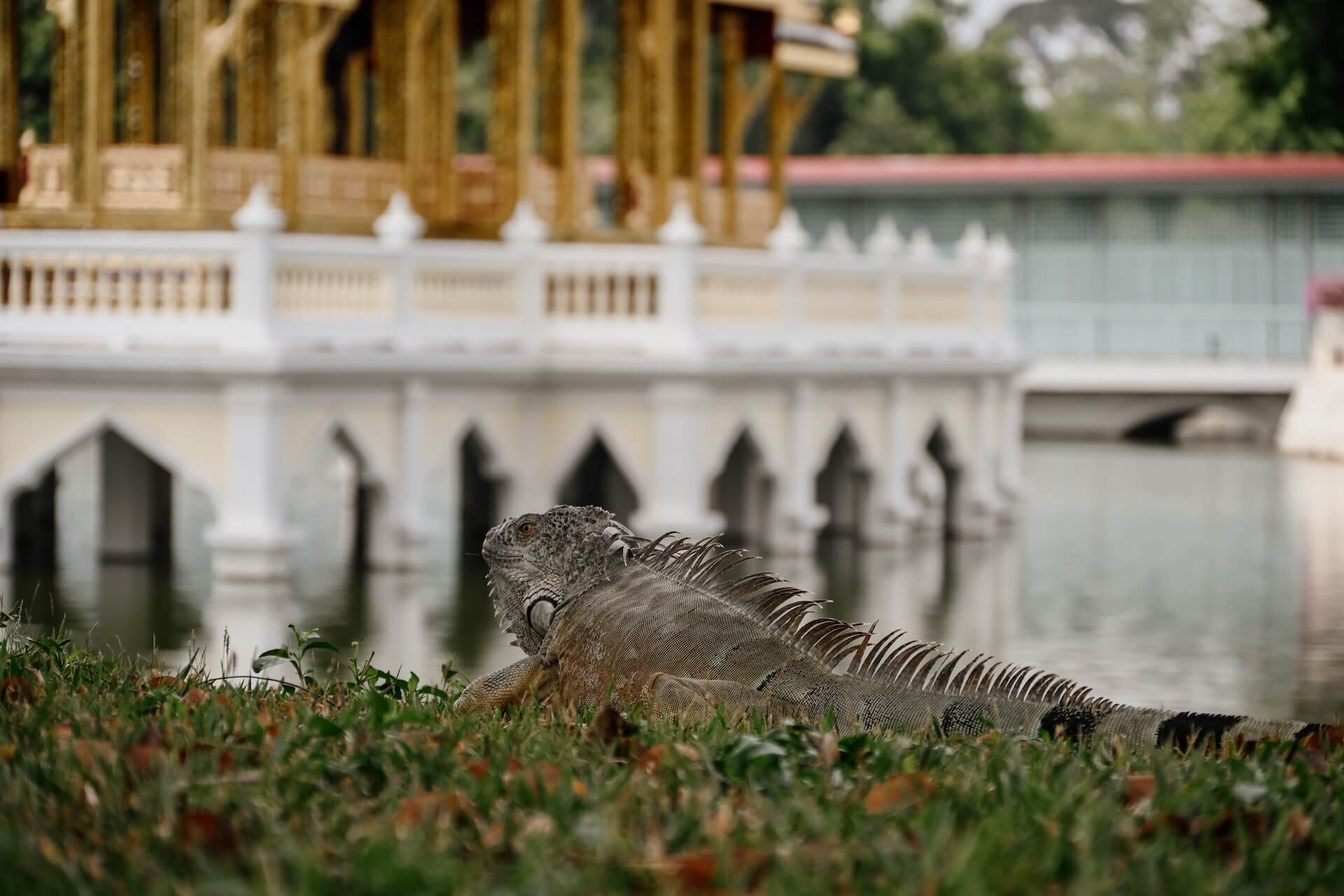 Bang Pa-In zomerpaleis-Thailand