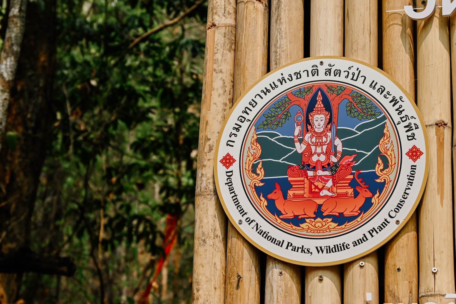 Monks Trail naar Wat Pha Lat in Chiang Mai