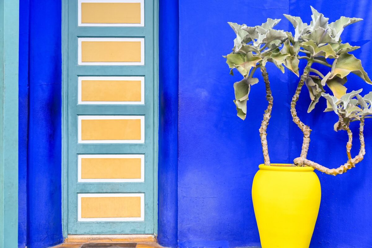 Jardin Majorelle in Marrakech bezoeken | Tips Jardin Majorelle in Marrakech | Tickets Jardin Majorelle in Marrakech | Tuinen in Marrakech bezoeken | Kleurrijke tuin in Marrakech