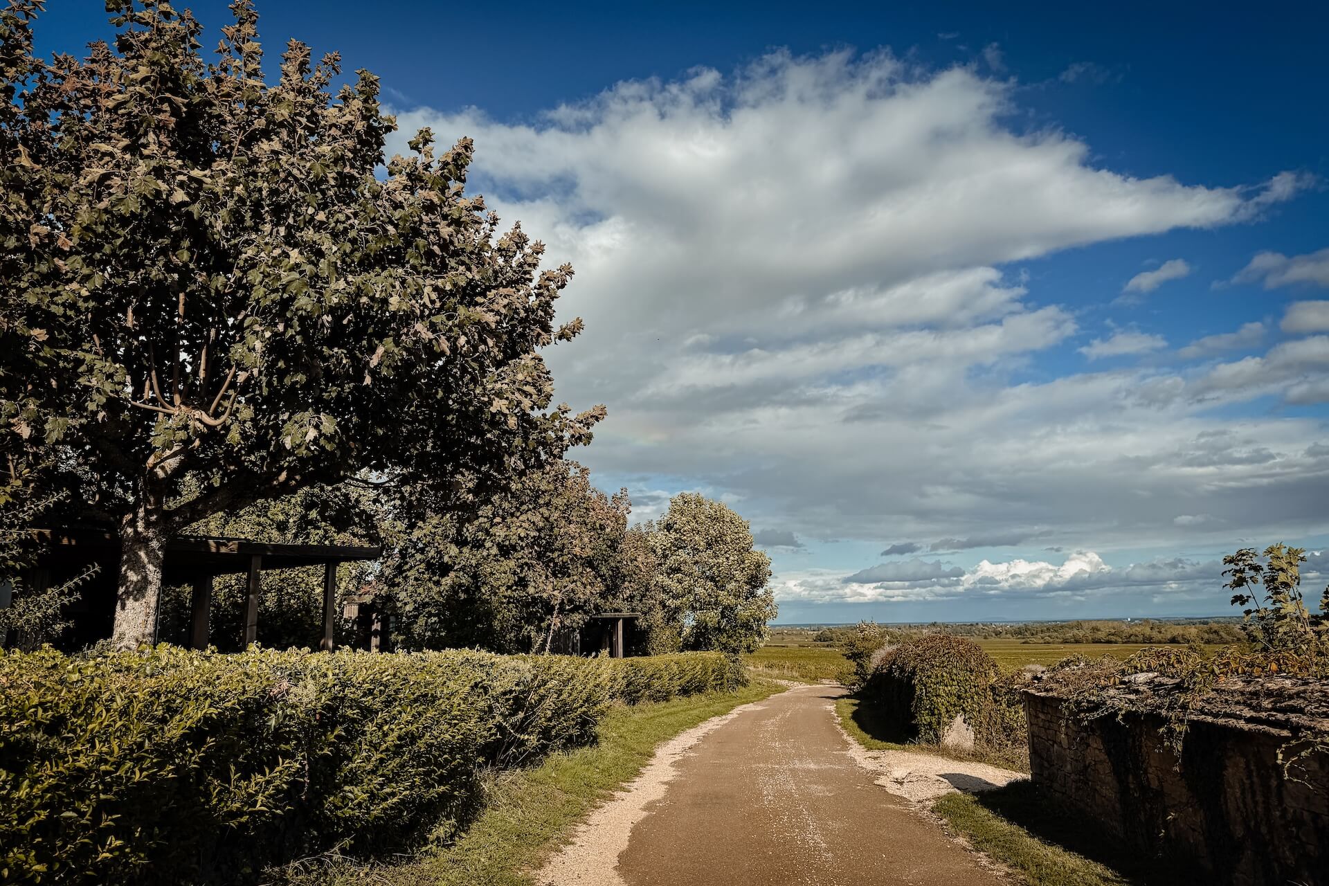 Links Huttopia Meursault, rechts de wijngaarden
