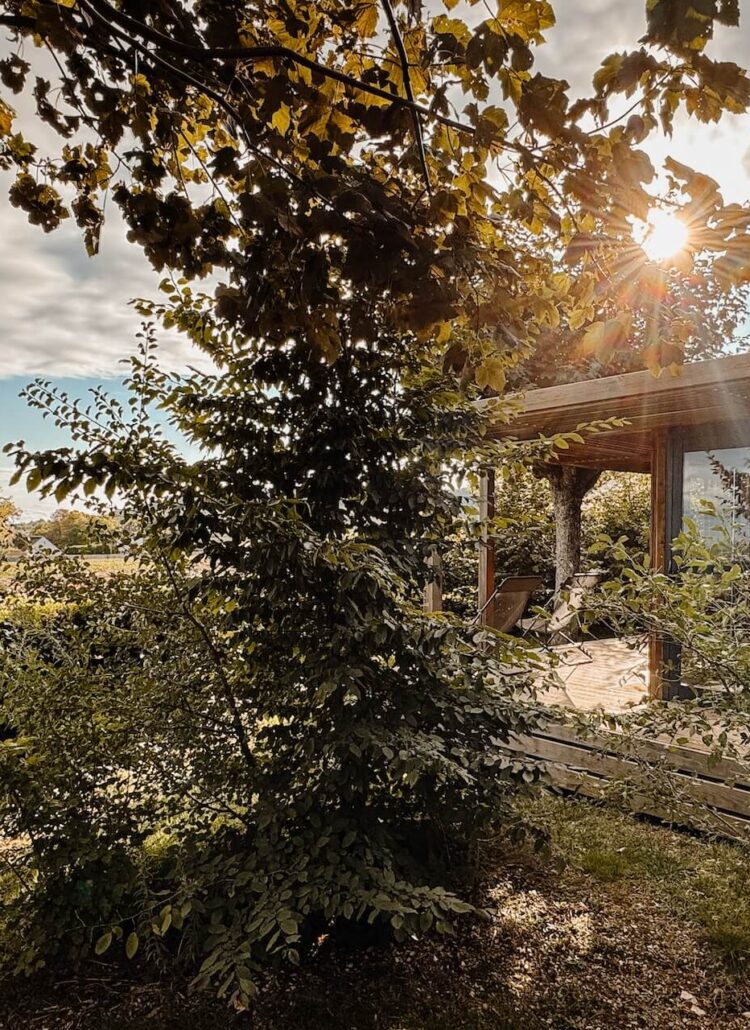Overnachten met uitzicht op de wijngaarden van Meursault in de Bourgogne