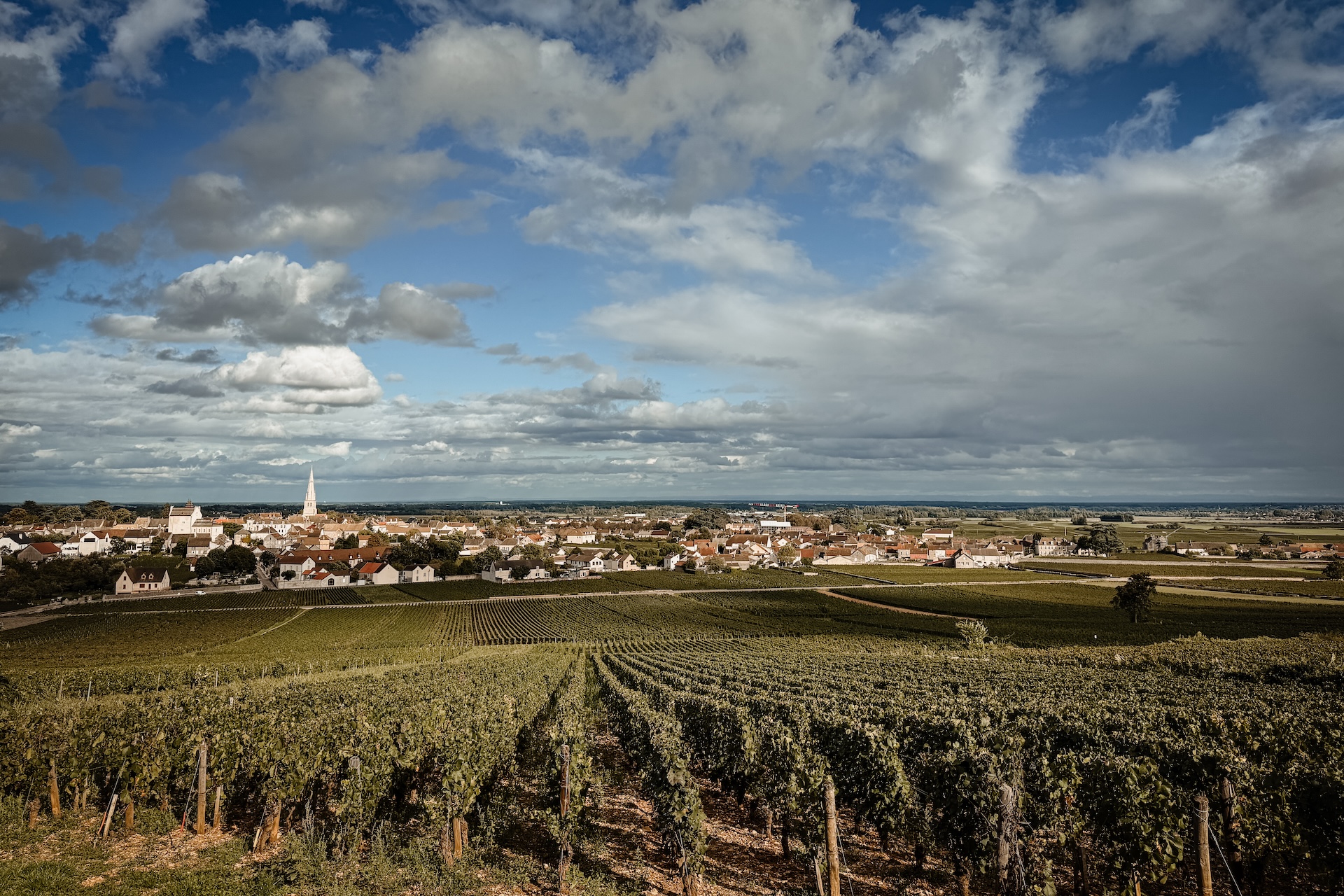 Uitzicht op Meursault Bourgogne