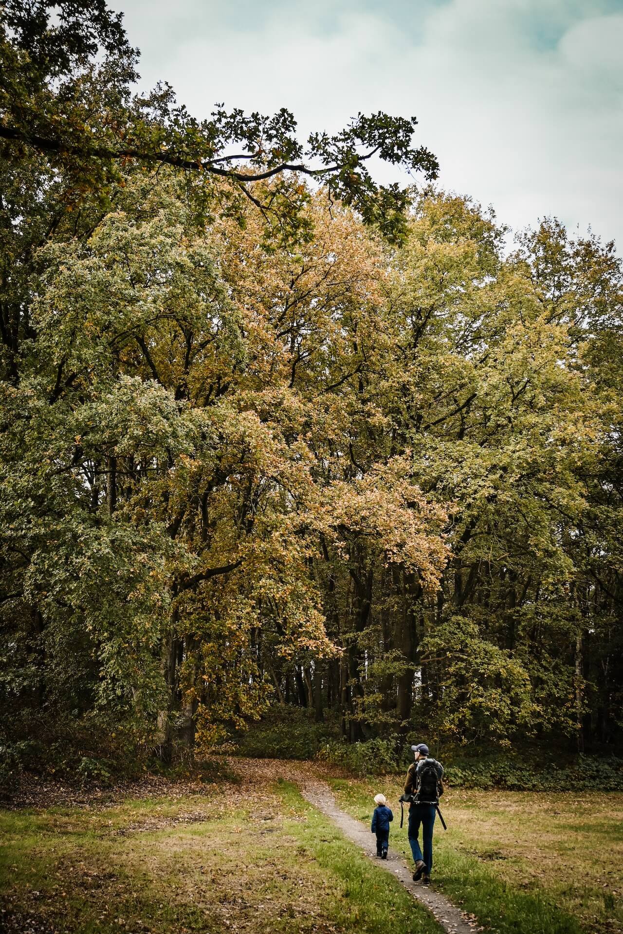 De wandelroutes lopen over de Grebbelinie en door de natuur