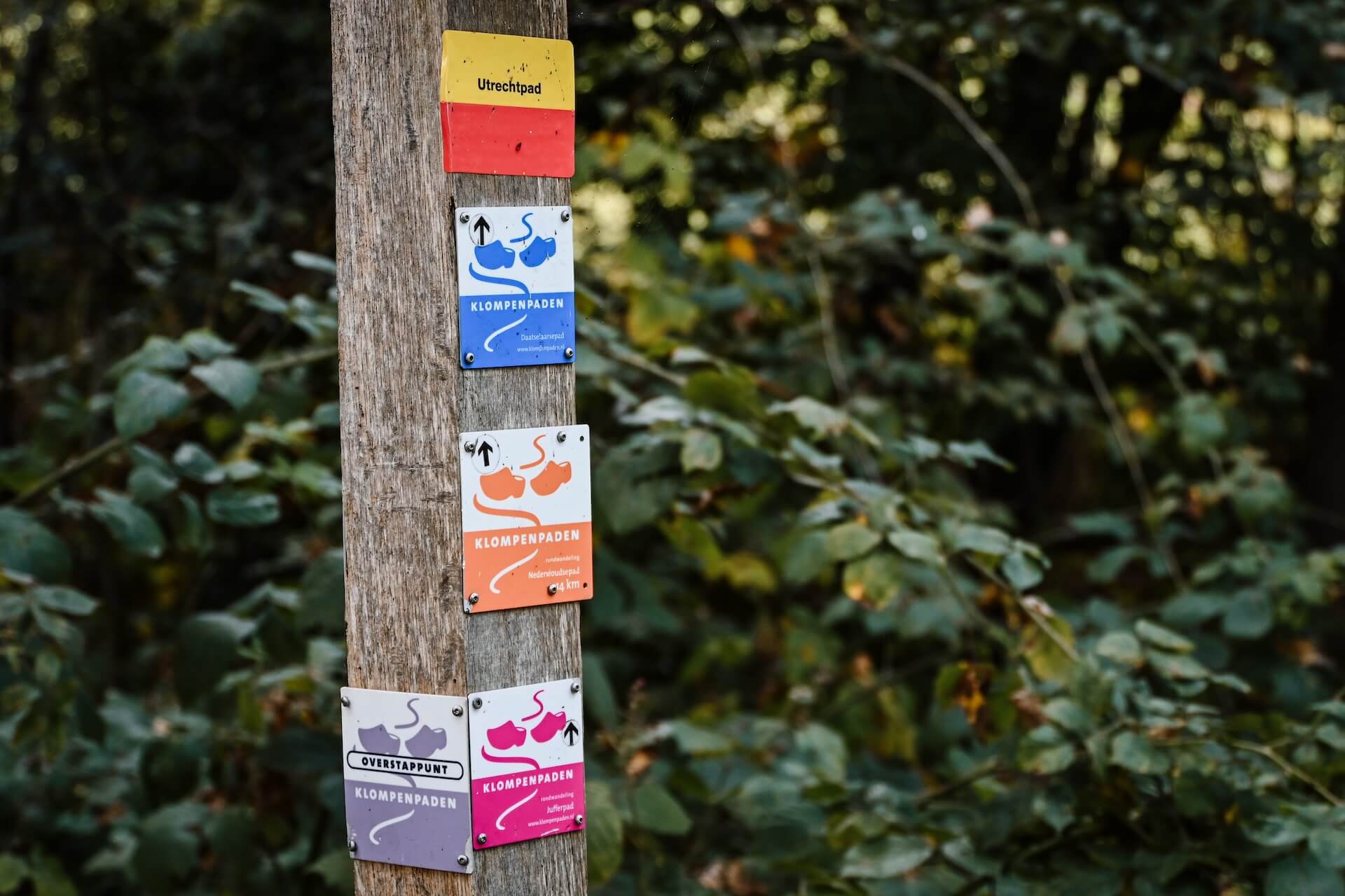 Mooiste wandelroutes langs de Grebbelinie in de Gelderse Vallei