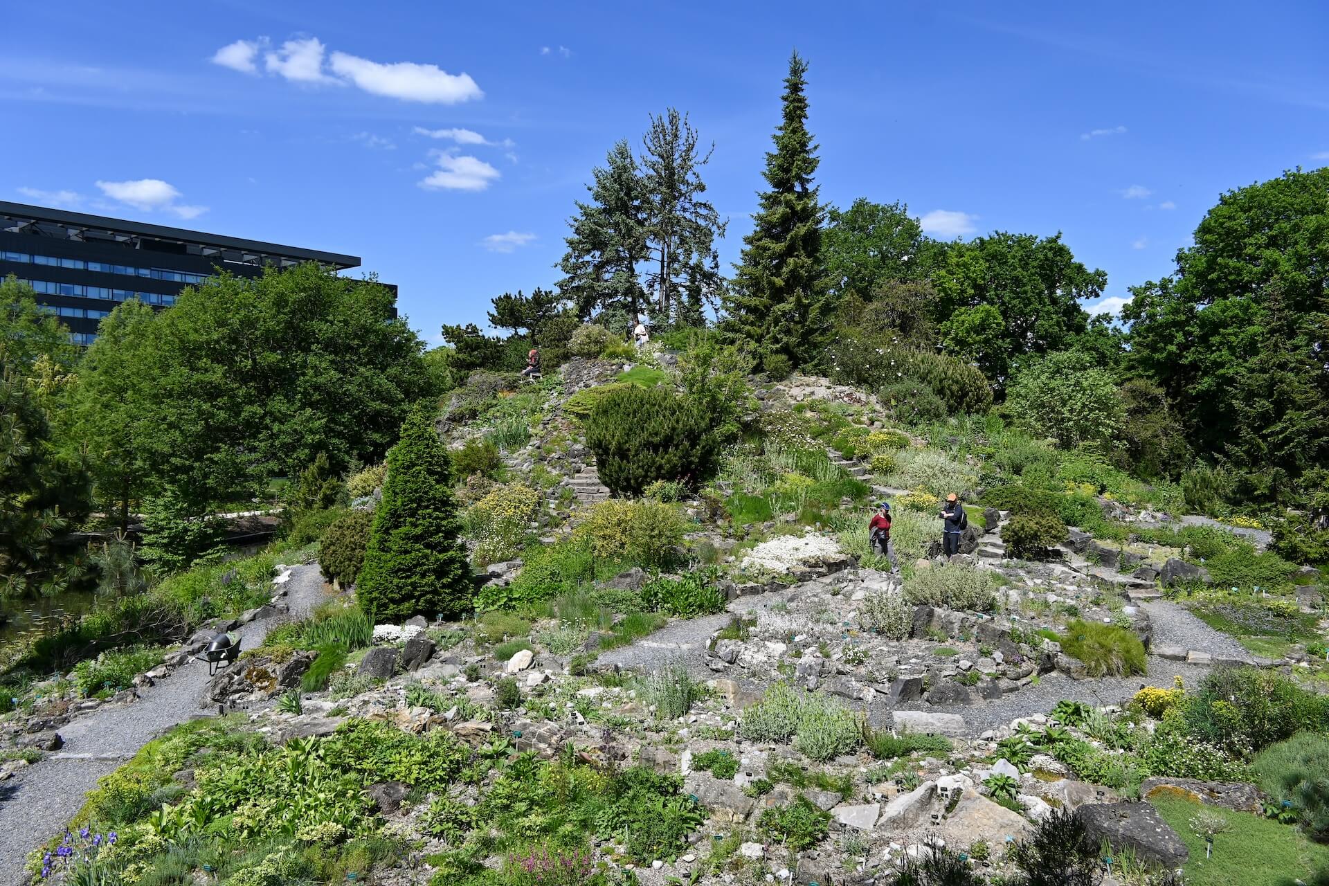 Botanische Tuinen Utrecht