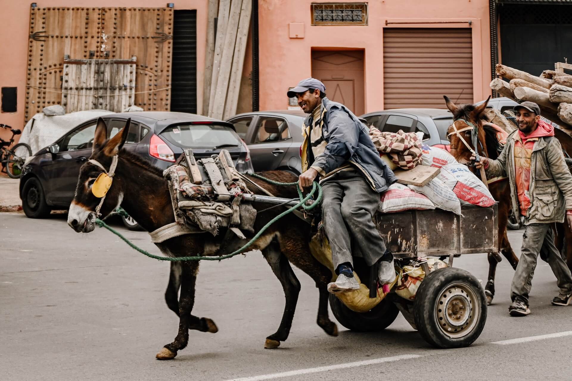 Ezelkar in Marrakech
