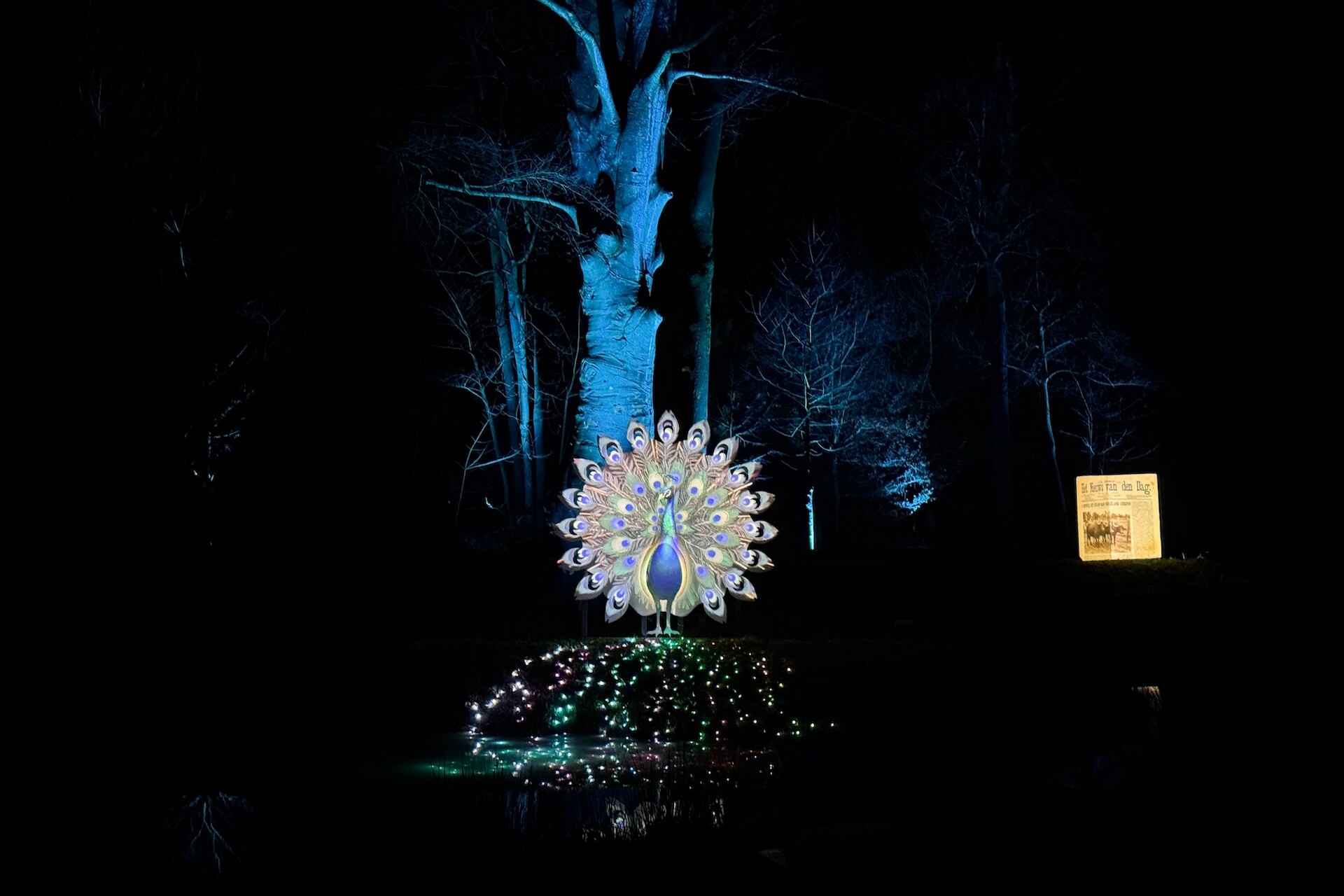 De pauw van Kasteel de Haar