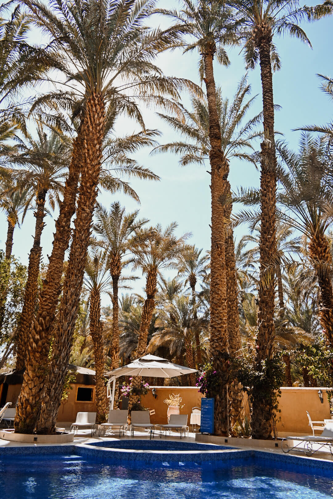 Zwembad bij het hotel in Zagora